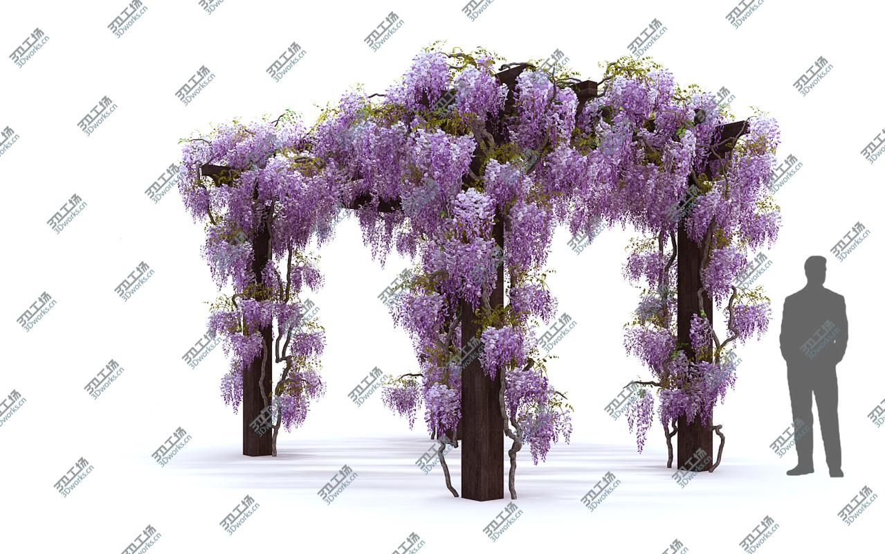 images/goods_img/2021040235/Wisteria Pergola 3D/1.jpg